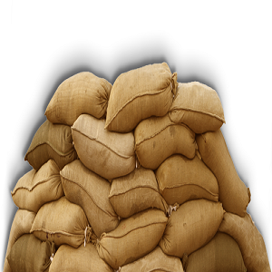 SAND BAG 1